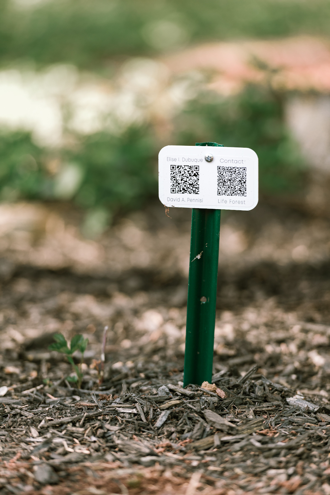 Photo of a burial plot QR code marker.